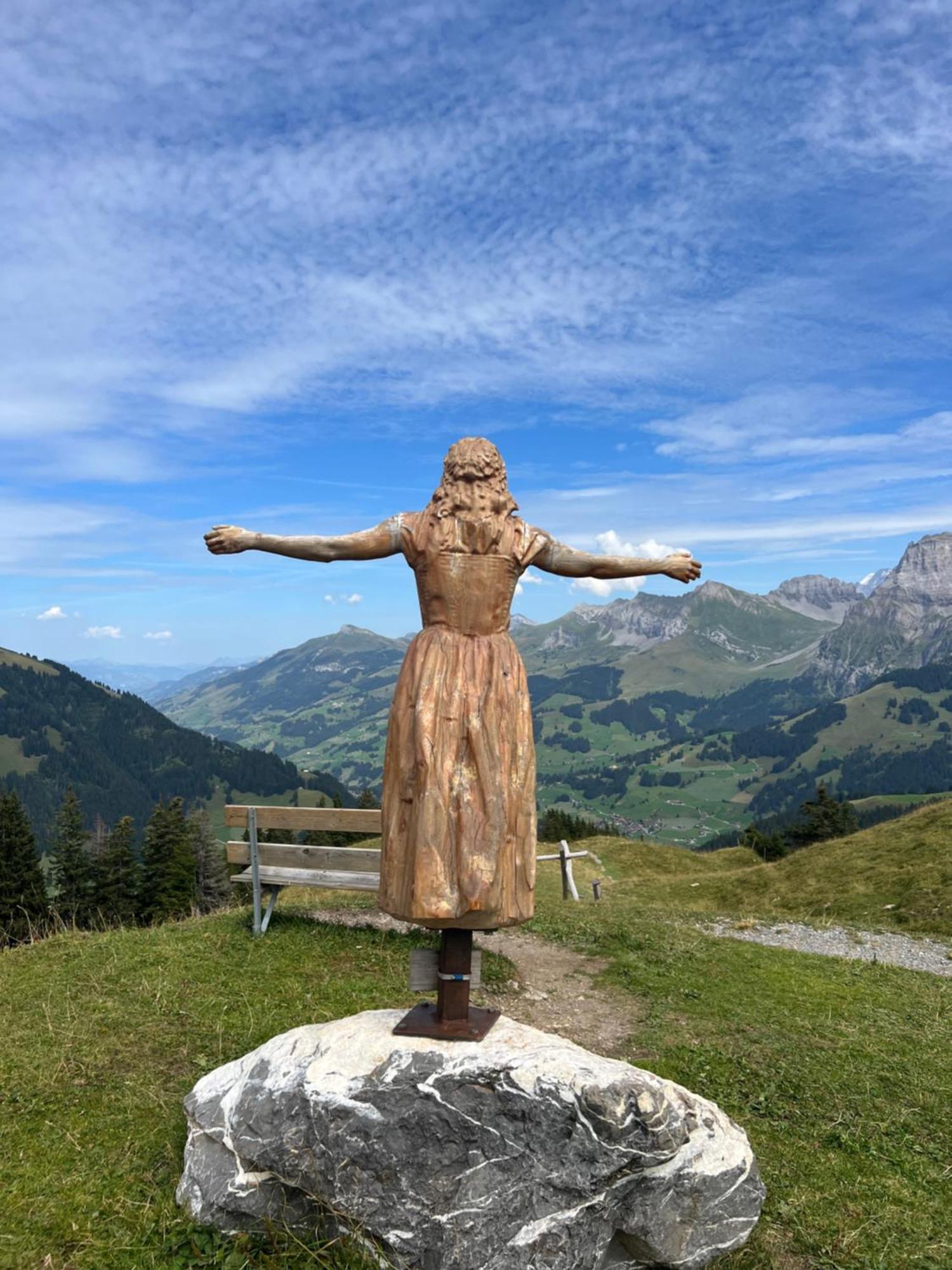 2-zimmer Mit Grossem Balkon Und Bergpanorama - 400m Von Talstation Sillerenbahn *