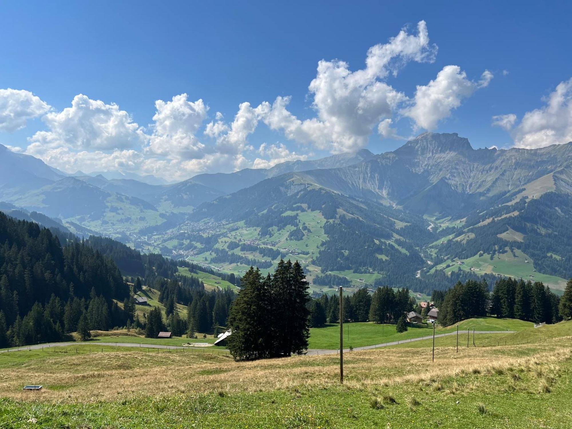 2-zimmer Mit Grossem Balkon Und Bergpanorama - 400m Von Talstation Sillerenbahn Adelboden
